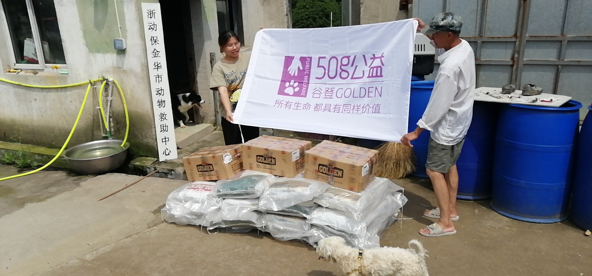 攜手公益，溫暖同行——金華錦安寵物用品攜谷登50g助力動物救助
